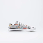 Converse CHUCK TAYLOR ALL STAR A BUG'S WORLD 670705C