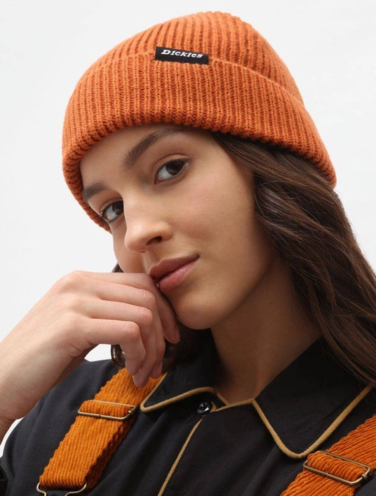 Dickies WOODWORTH BEANIE PUMPKIN SPICE