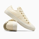 Converse Chuck Taylor All Star Mono Leather A13814C
