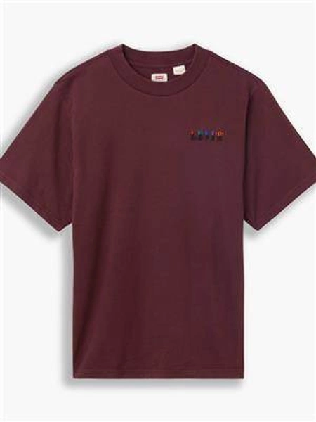 Levi's RAPHIC MOCKNECK SERIF TEE Embroidery Sassafras