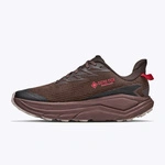 HOKA Challenger 8 GORE-TEX męskie buty do biegania w terenie Spiced Chocolate/Cast Iron