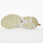 Salomon XT-6 EXPANSE Vanilla Ice/Desert Sage/Taffy