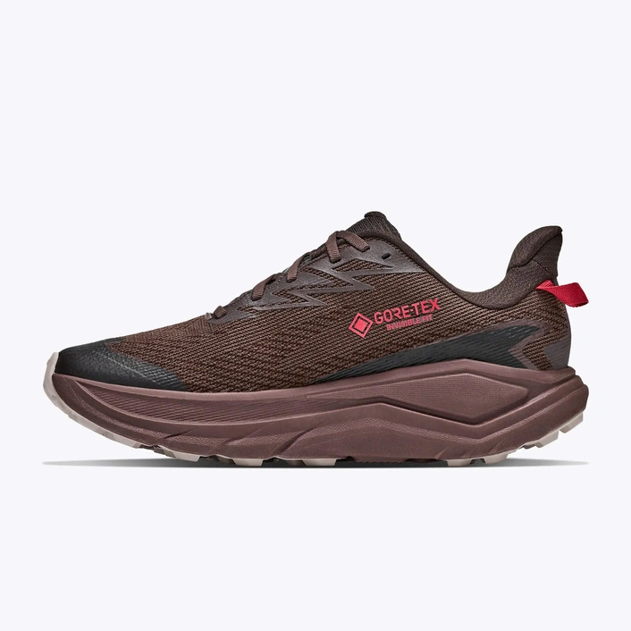 HOKA Challenger 8 GORE-TEX męskie buty do biegania w terenie Spiced Chocolate/Cast Iron