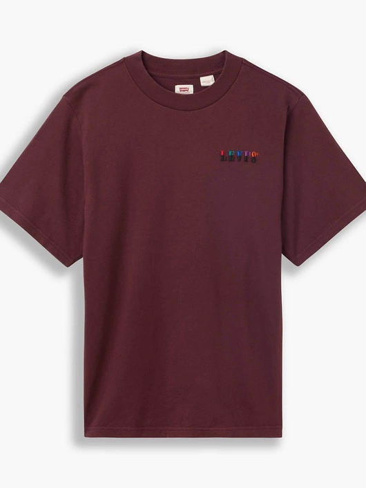 Levi's RAPHIC MOCKNECK SERIF TEE Embroidery Sassafras