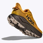 HOKA Challenger 8 męskie buty do biegania w terenie Mustard Seed / Black