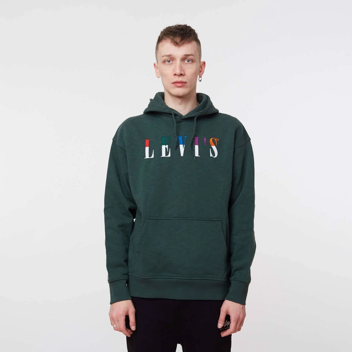 Levi's RELAXED GRAPHIC SERIF HOODIE EMBROIDERY SYCAMORE