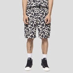 Kaotiko SHORT GEO ABSTRACT