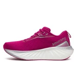Saucony WMNS Triumph 22 S10964-161