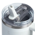 Stanley kubek Quencher ProTour Flip Straw 0.59 L Frost Fade