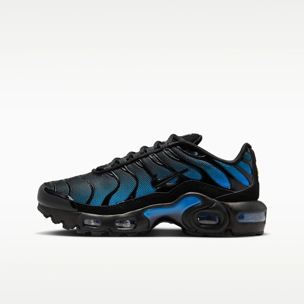 Nike Air Max Plus (GS) CD0609-051