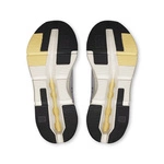 On Running CLOUDNOVA 2 Nimbus-Nectar 3WE30224322