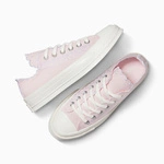 Converse Chuck 70 Embroidered A13542C